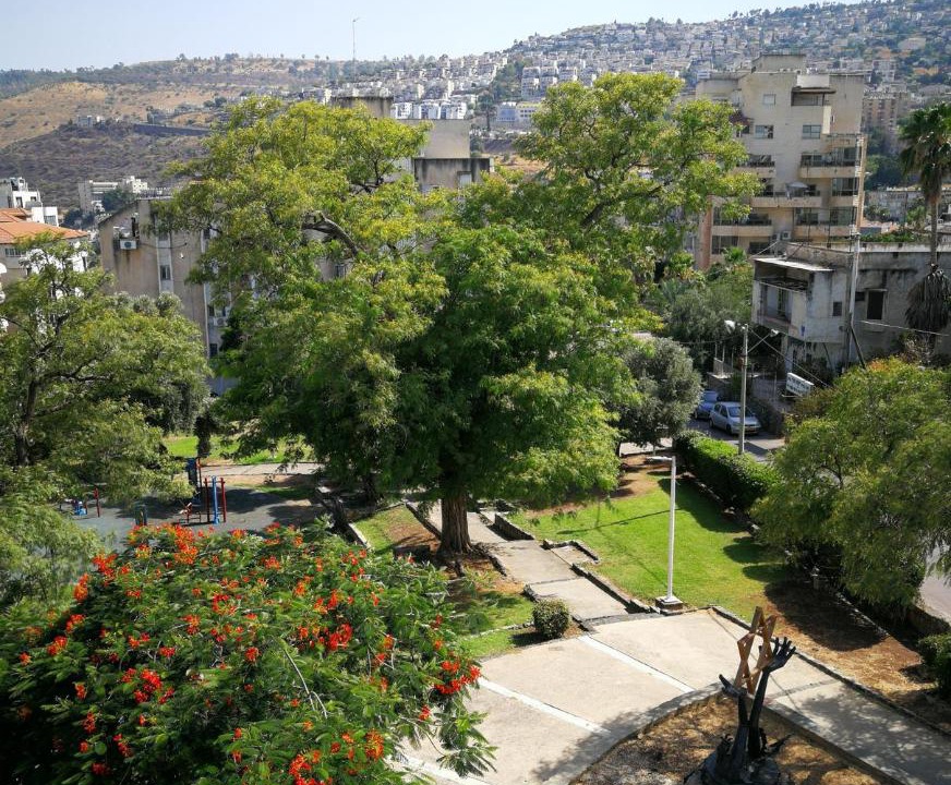 Photo of Others in Tiberias