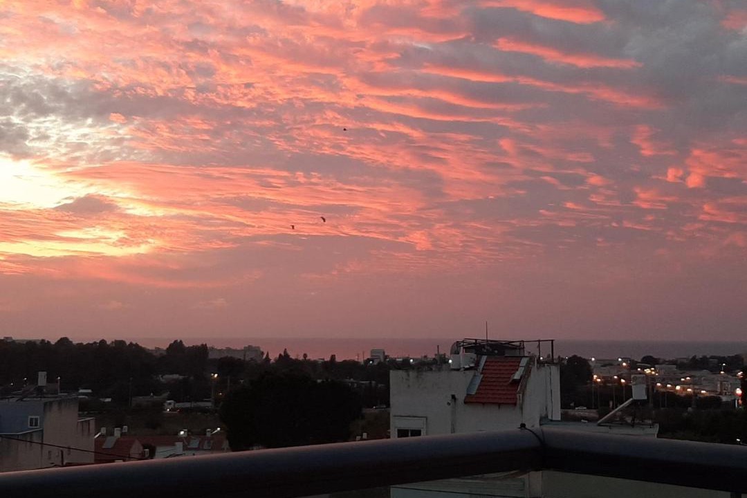 Photo of Others in Nahariya