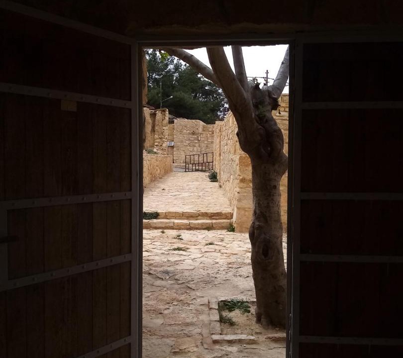 Photo of Others in Dana