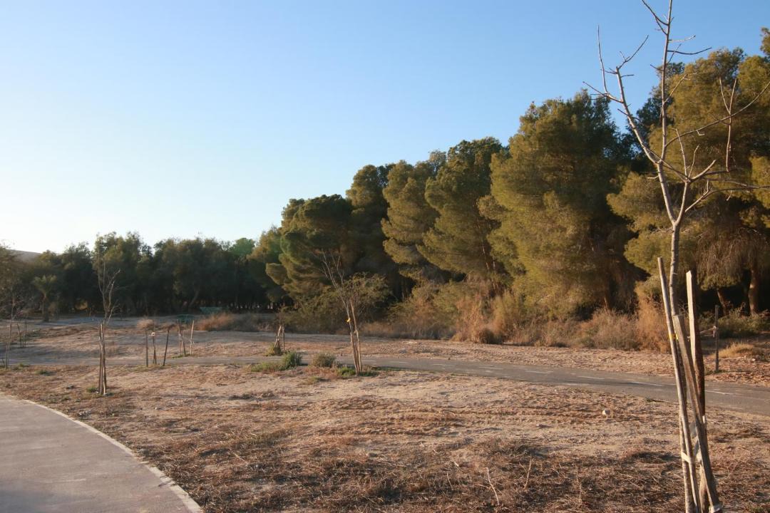 Photo of Outdoor in Yeruham