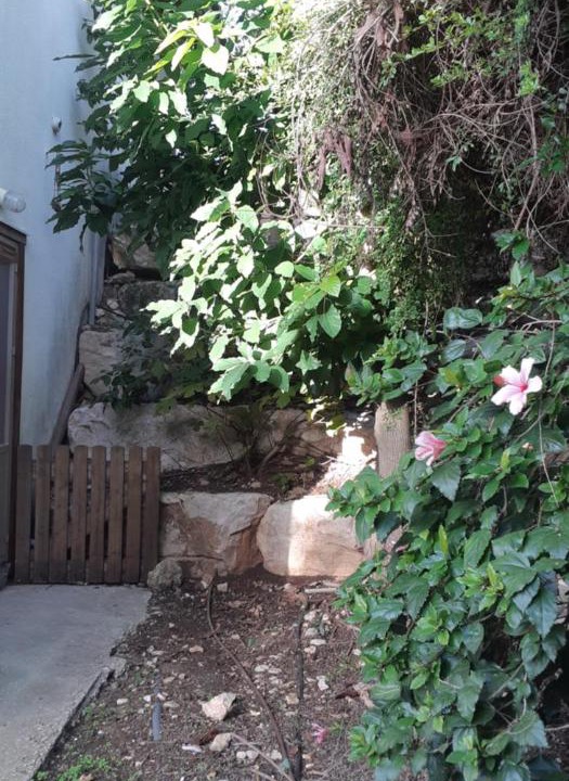 Photo of Others in Kfar Vradim