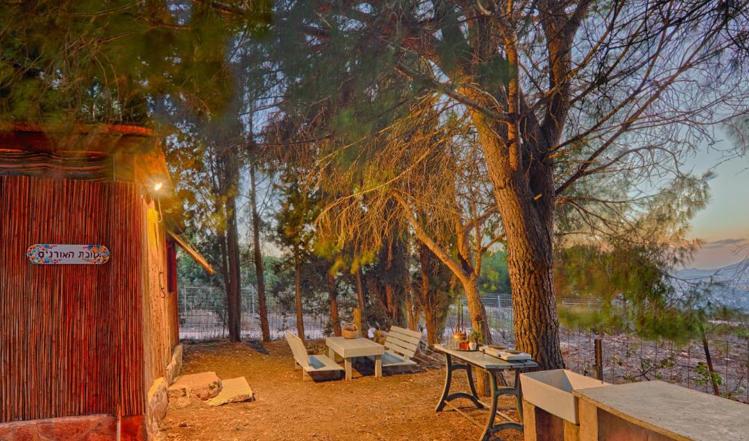 Photo of Others in Misgav