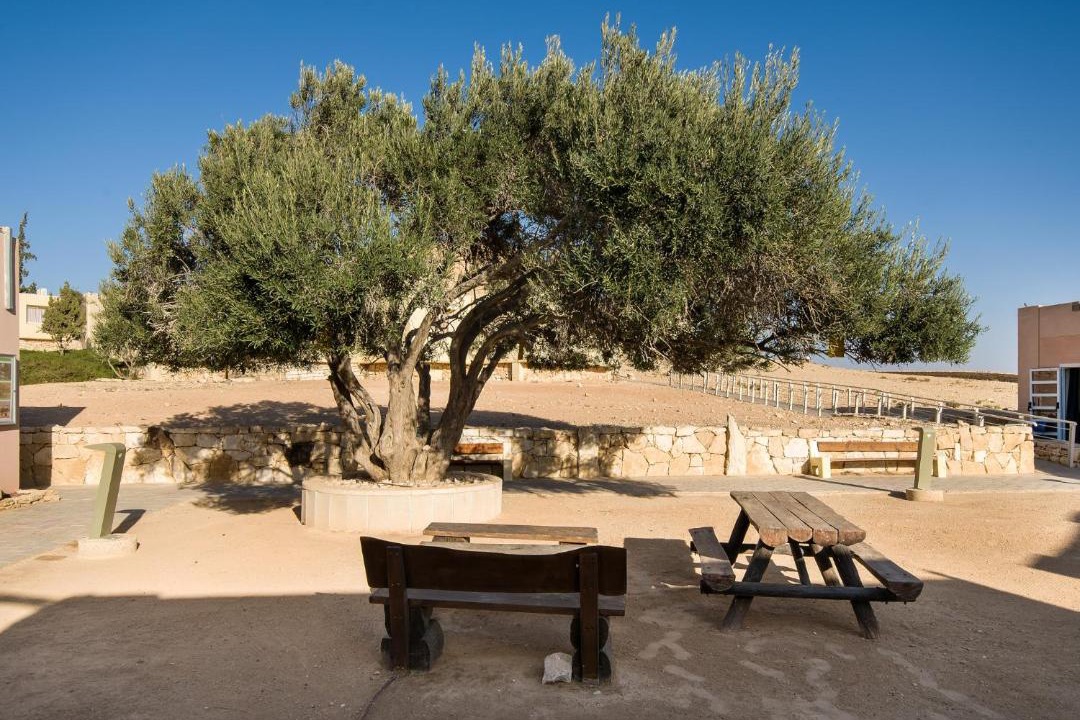 Photo of Others in Mitzpe Ramon