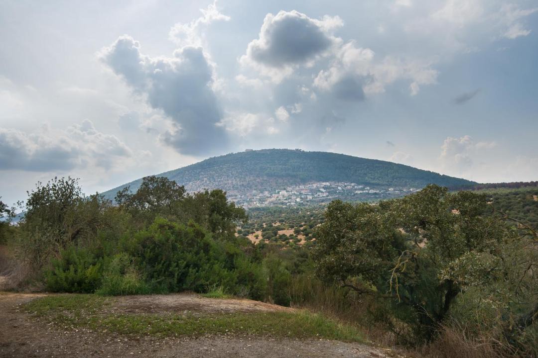 Photo of Others in Ein Dor