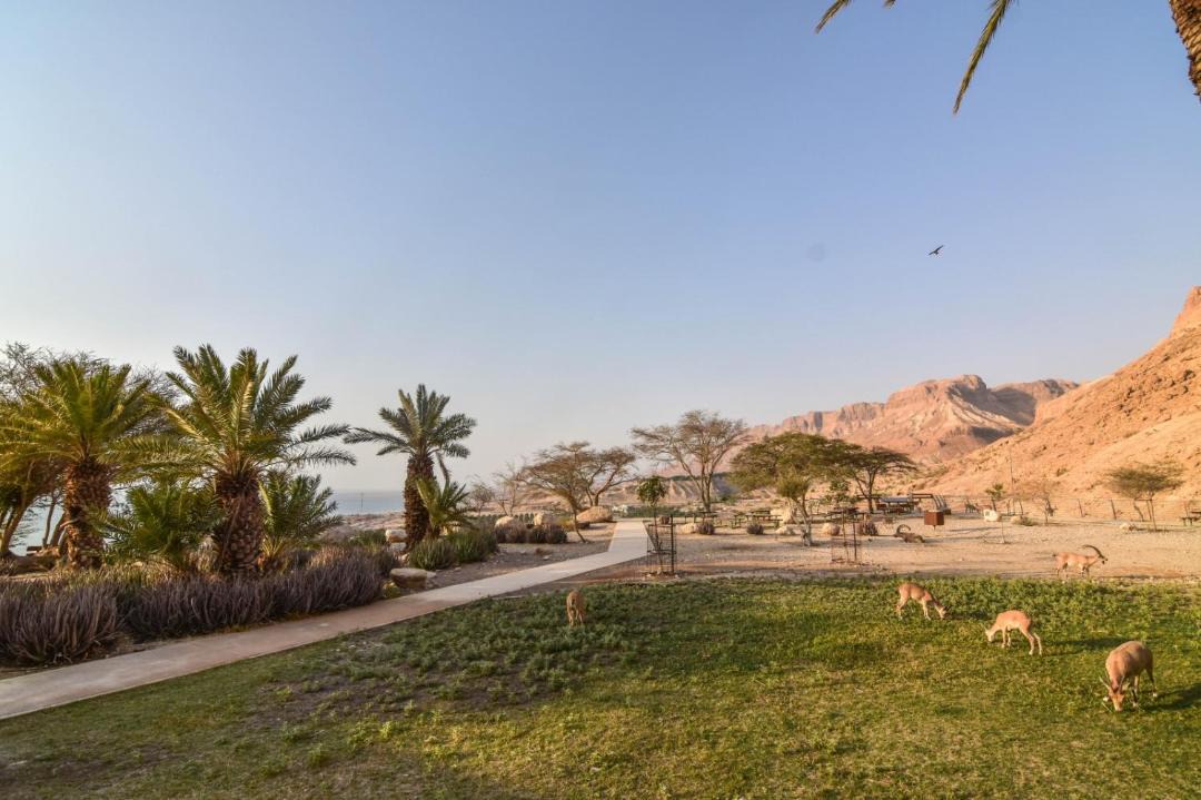 Photo of Others in Ein Gedi
