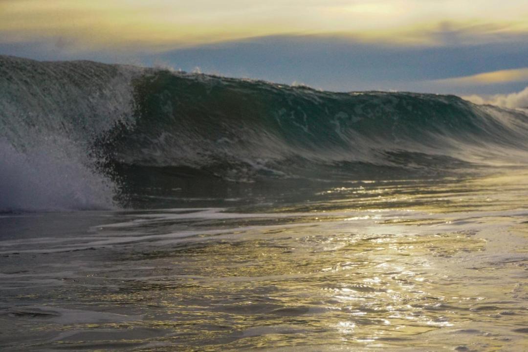 Photo of Others in Playa Grande