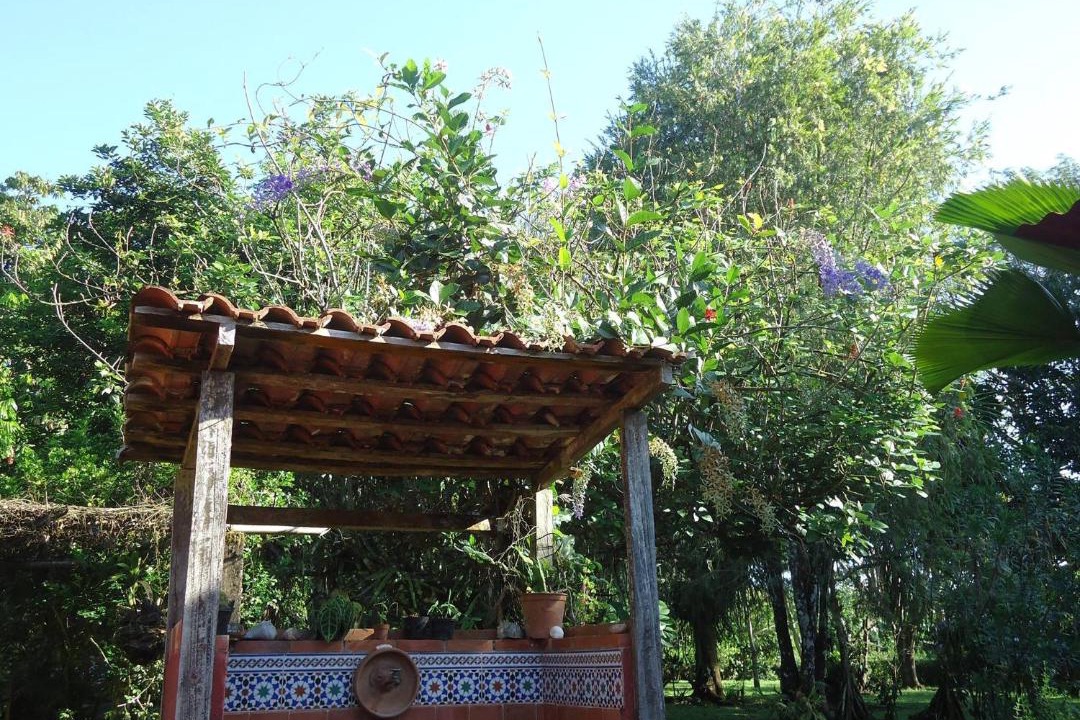 Photo of Others in Sierpe