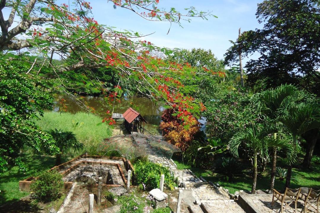 Photo of Others in Sierpe