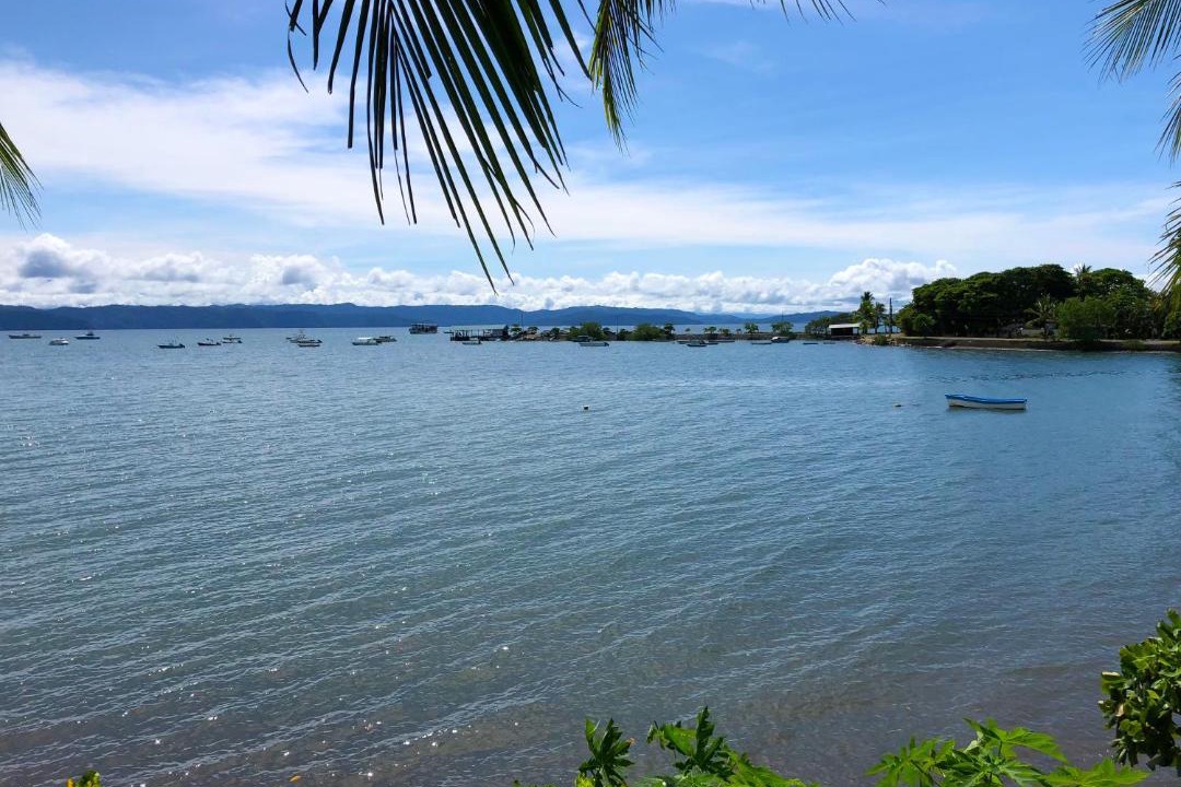 Photo of Others in Puerto Jimenez