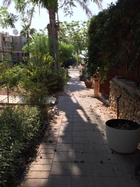 Photo of Others in Neve Zohar