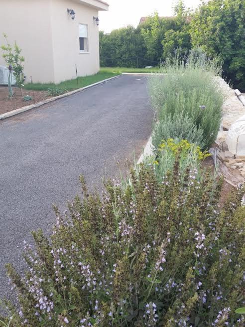 Photo of Outdoor in Dor
