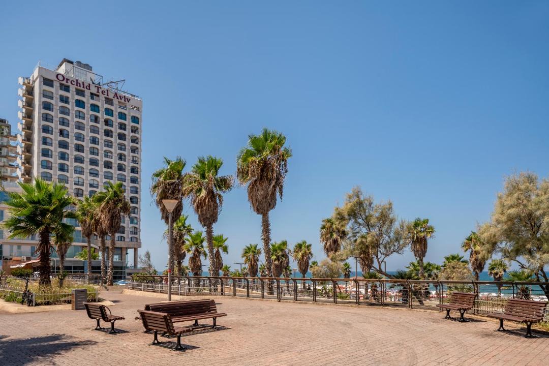 Photo of Others in Tel Aviv Promenade