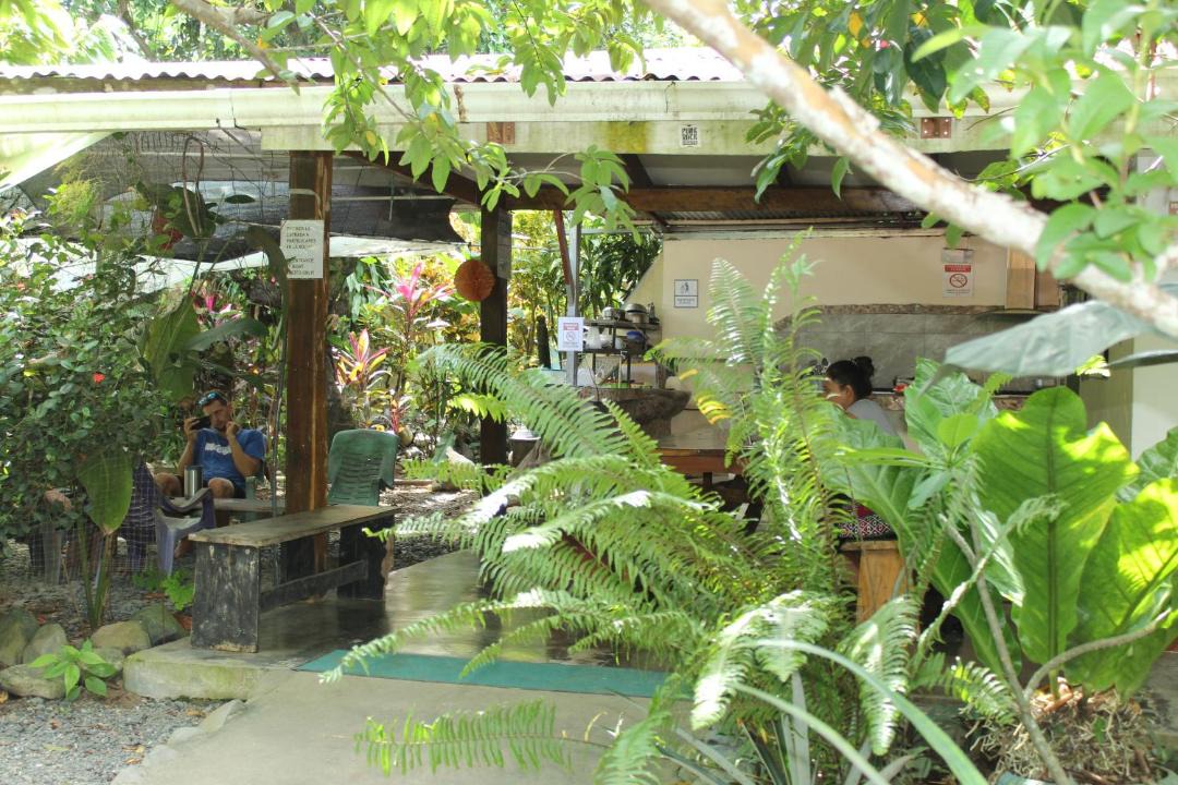 Photo of Others in Pavones