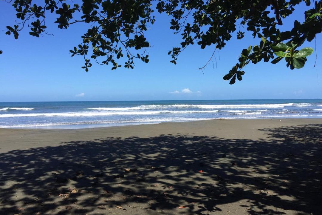 Photo of Others in Cahuita
