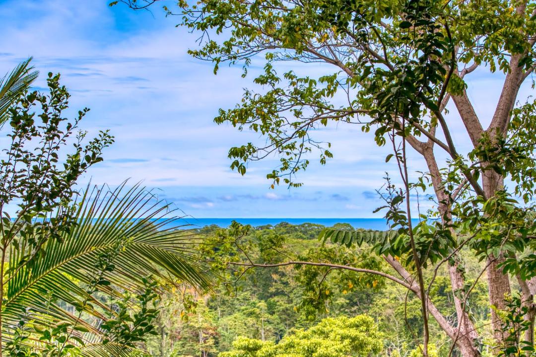 Photo of Others in Cahuita