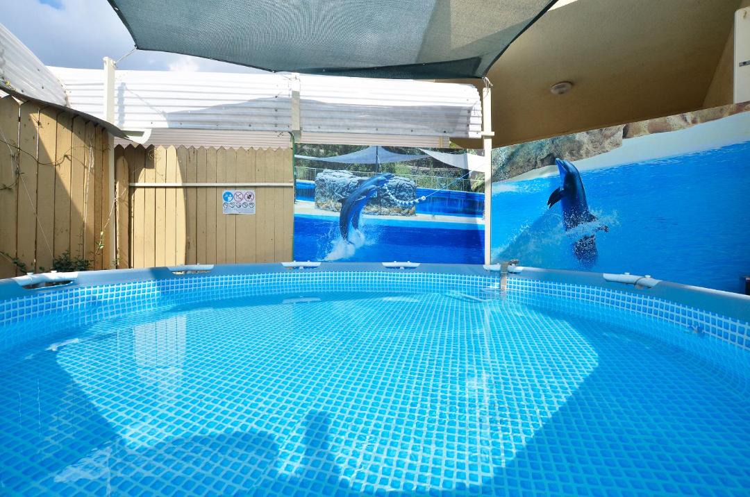 Photo of Outdoor in Shlomi