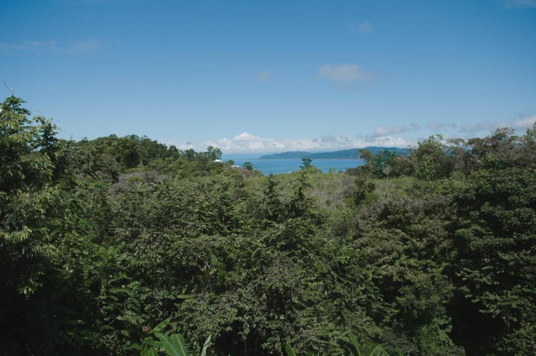 Photo of Others in Drake Bay