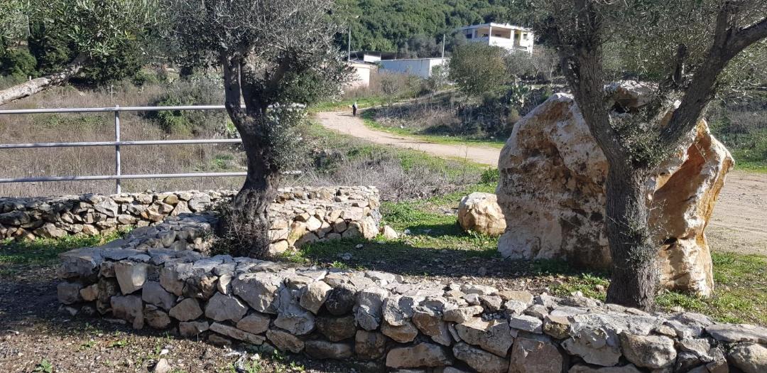 Photo of Others in Isfiya