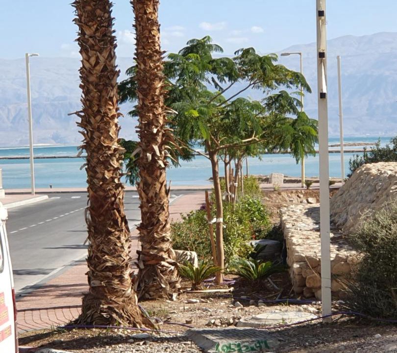 Photo of Others in Neve Zohar