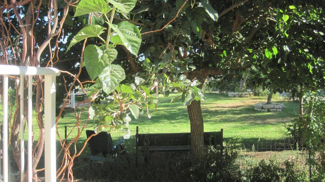 Photo of Others in Neve Ilan