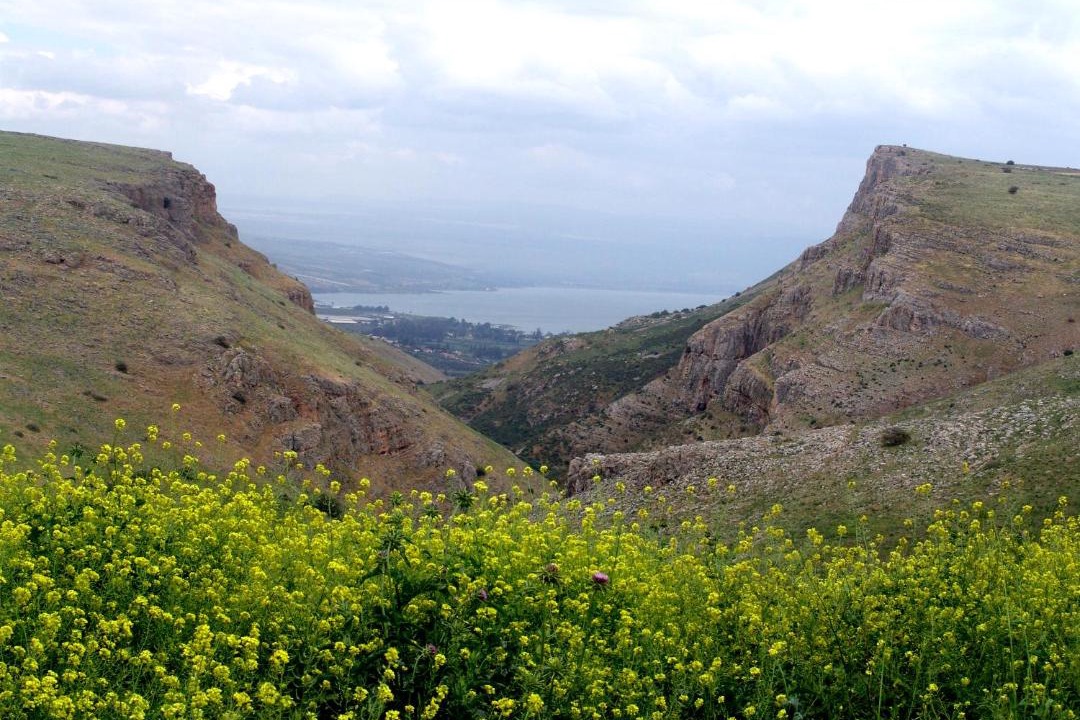 Photo of Others in Arbel