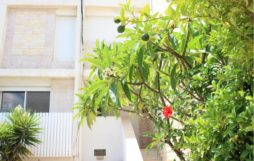Photo of Others in Ashdod