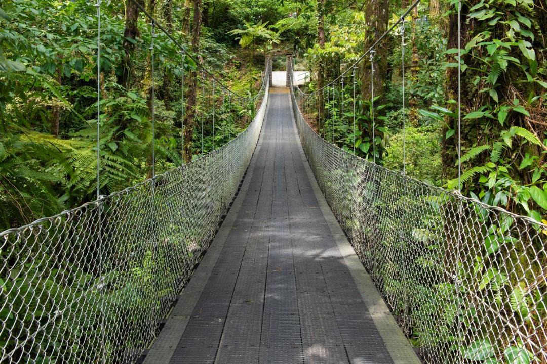 Photo of Others in La Fortuna