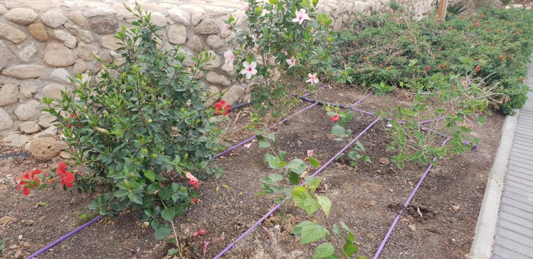 Photo of Outdoor in Neve Zohar