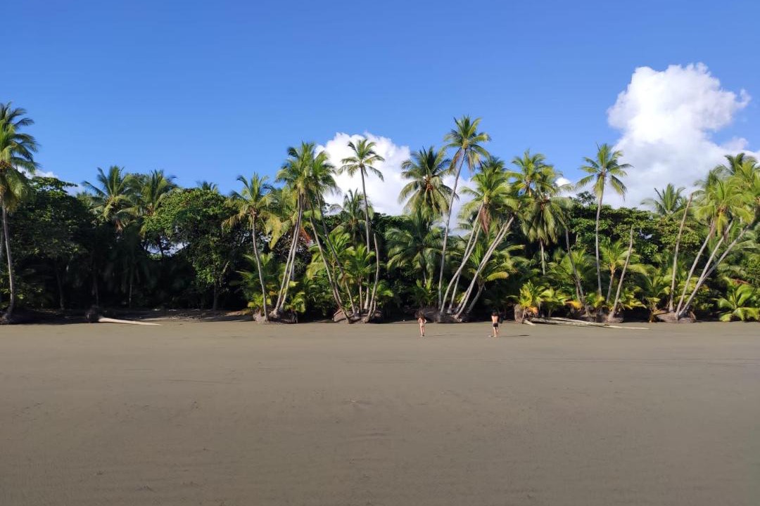 Photo of Others in Uvita