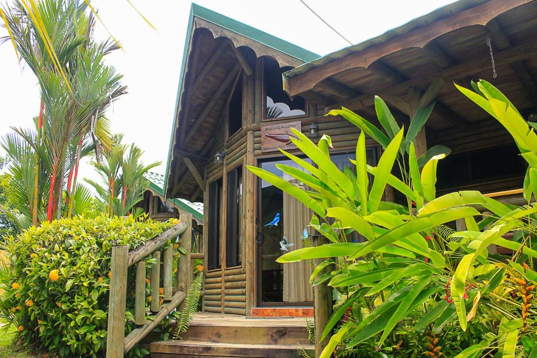 Photo of Others in Uvita