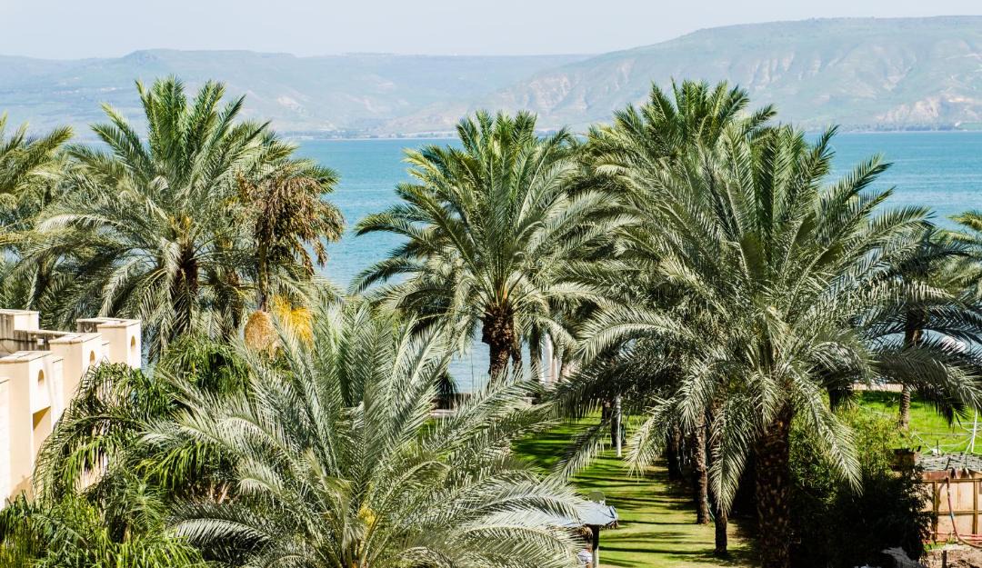 Photo of Others in Tiberias