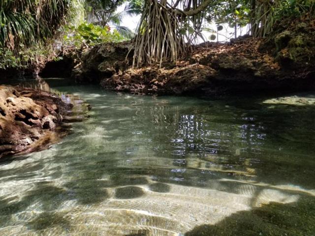 Photo of Others in Cahuita
