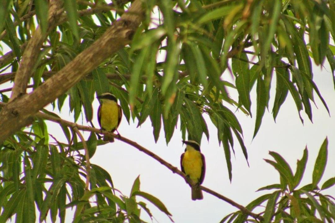 Photo of Outdoor in San Diego