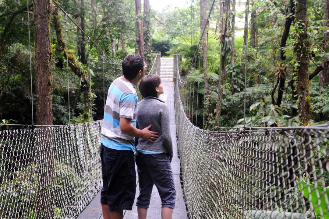 Photo of Others in La Fortuna