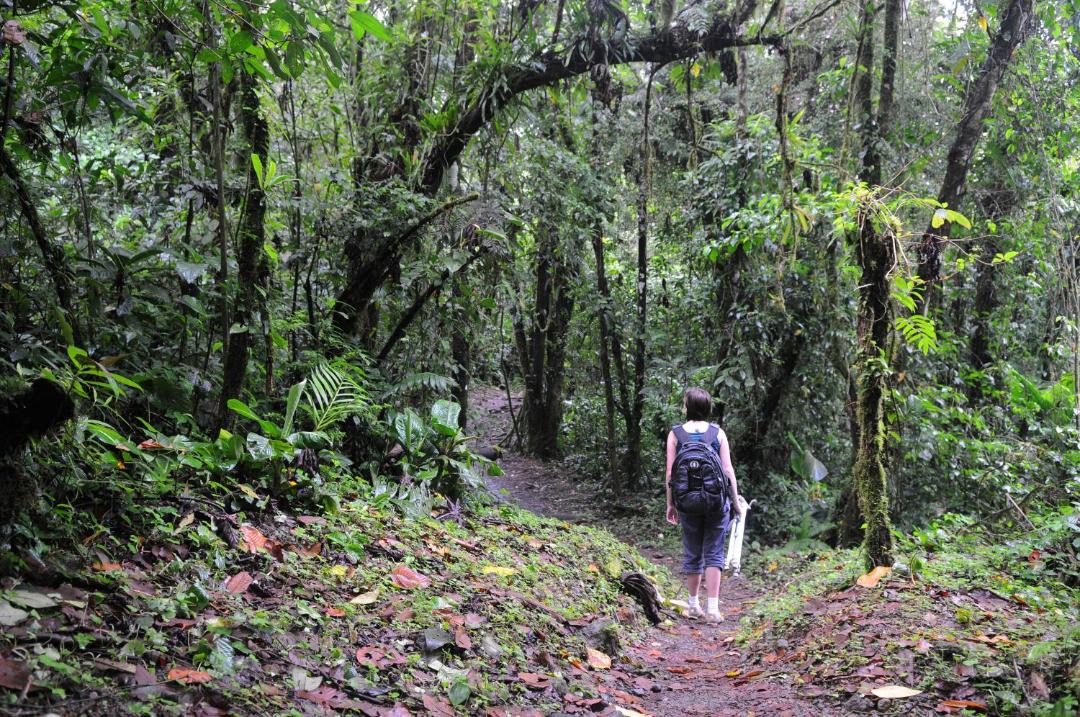 Photo of Others in La Fortuna