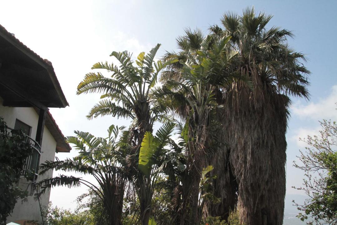 Photo of Others in Amirim