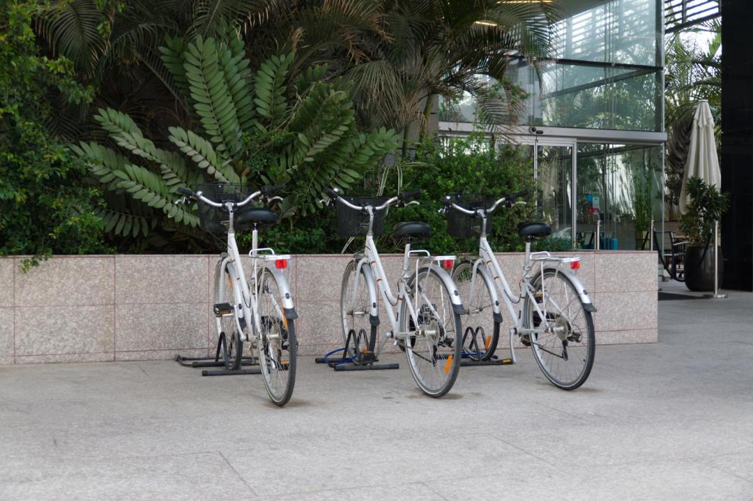 Photo of Others in Herzliya