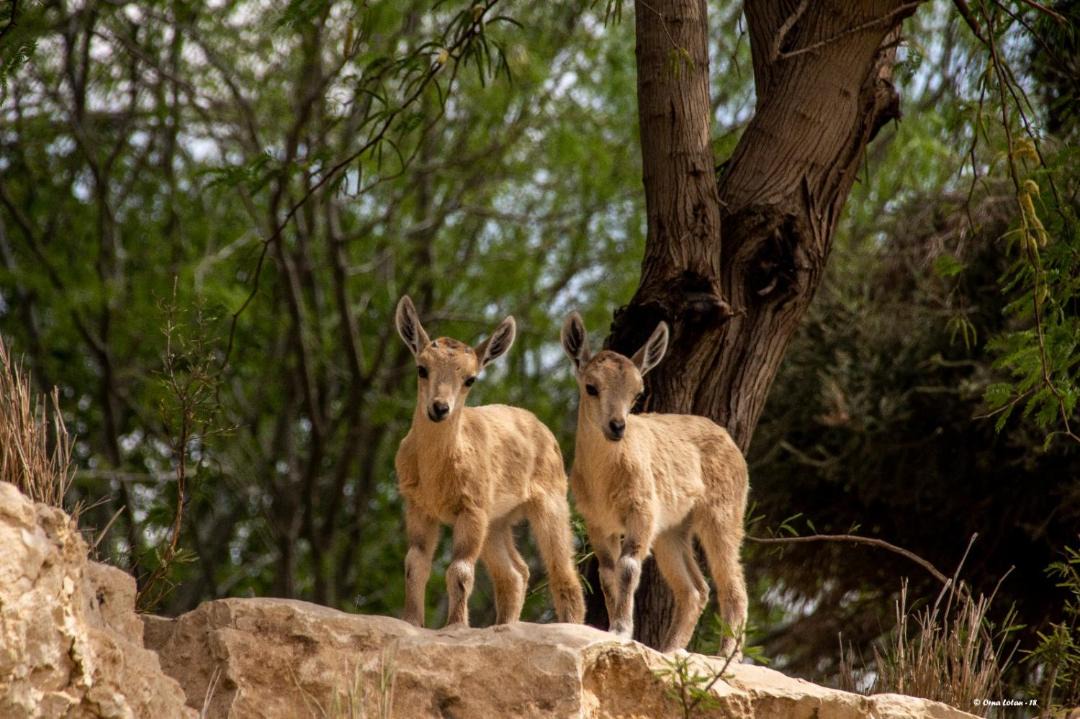 Photo of Others in Midreshet Ben-Gurion
