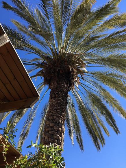 Photo of Others in Herzliya