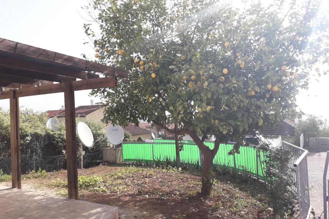 Photo of Others in Qiryat Shemona