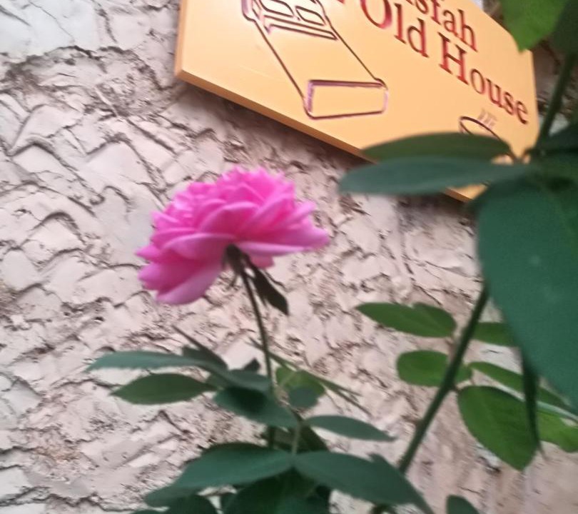 Photo of Outdoor in Al Hamra