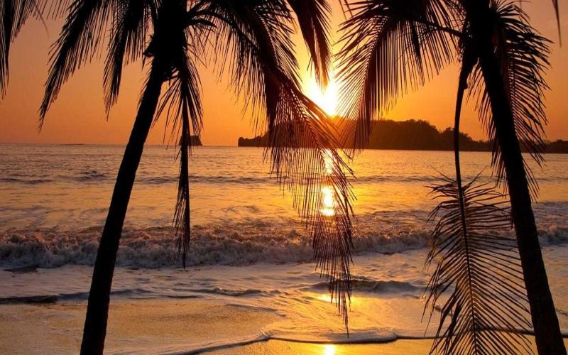 Photo of Others in Playa Hermosa