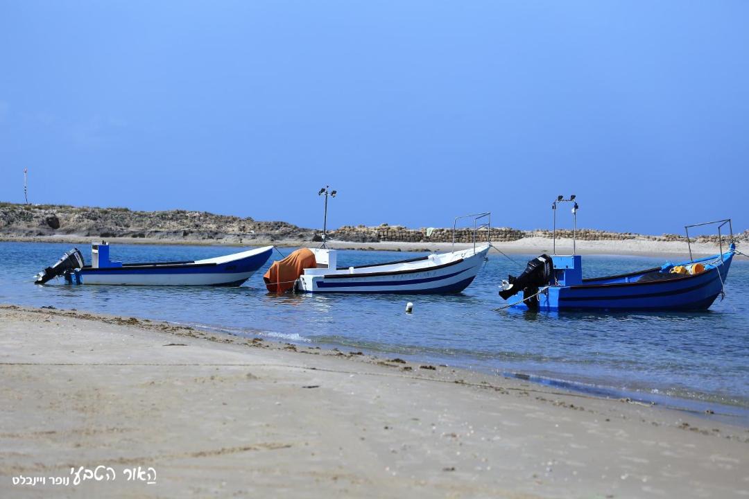 Photo of Others in Dor