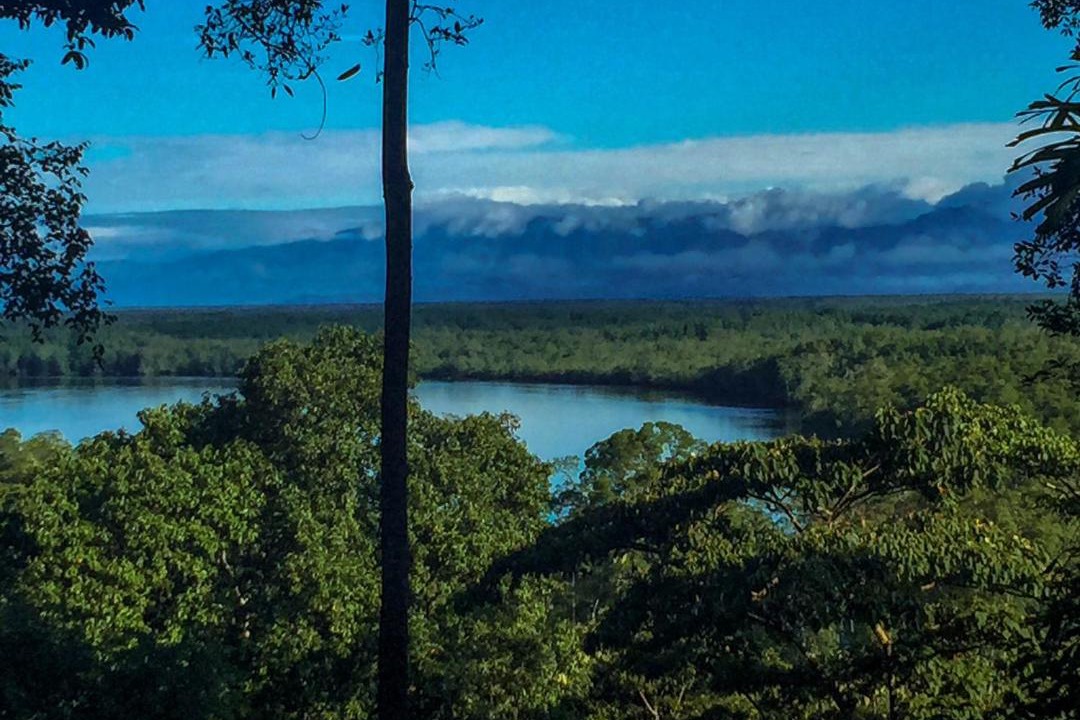 Photo of Others in Sierpe