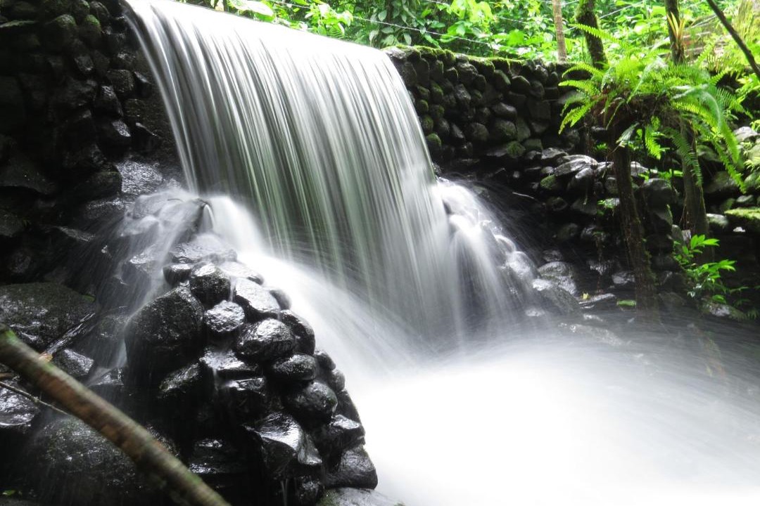 Photo of Others in Arenal