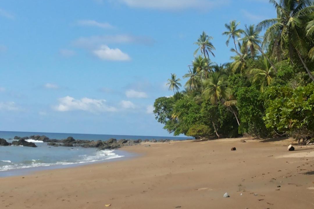 Photo of Others in Drake Bay