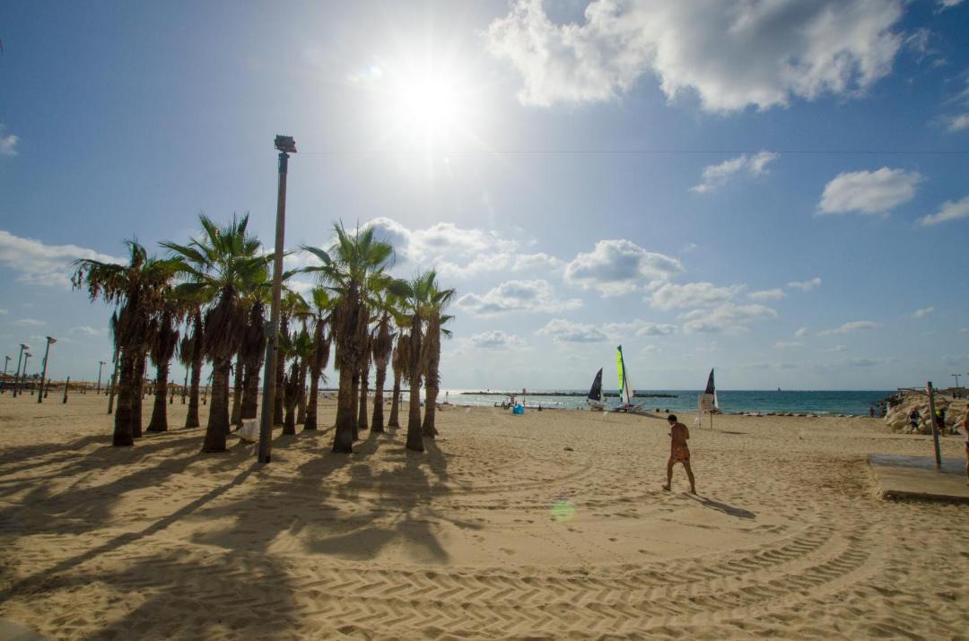 Photo of Others in Tel Aviv Promenade
