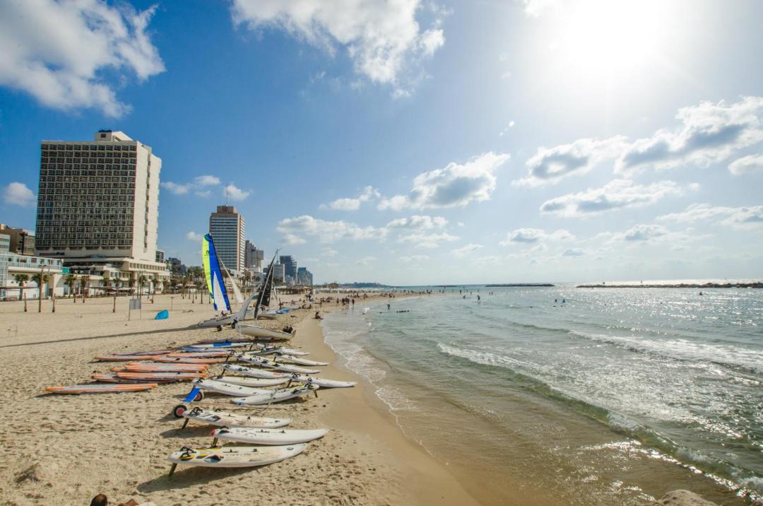 Photo of Others in Tel Aviv Promenade