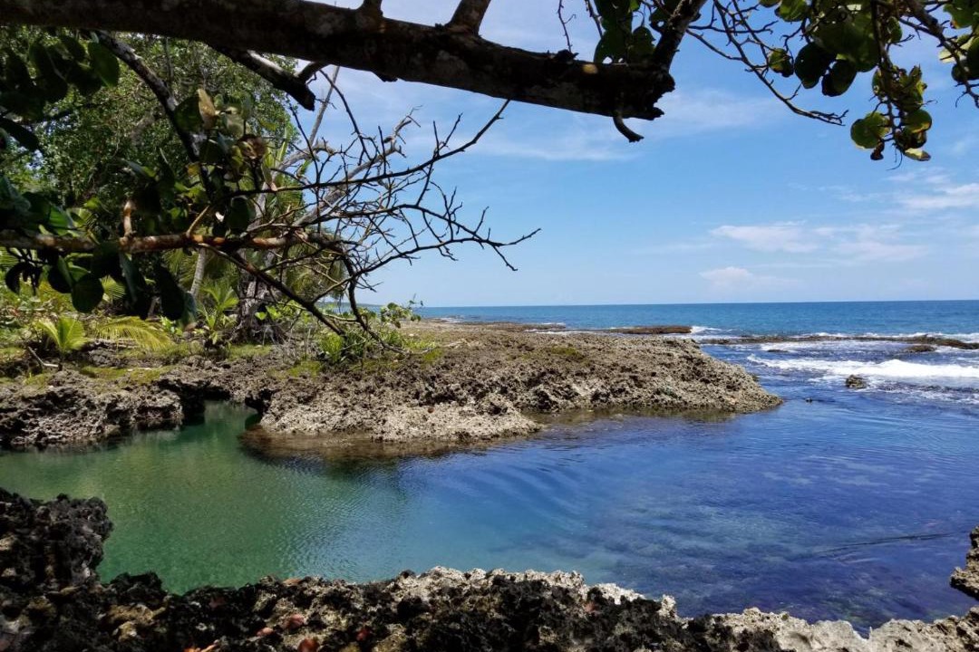 Photo of Others in Cahuita