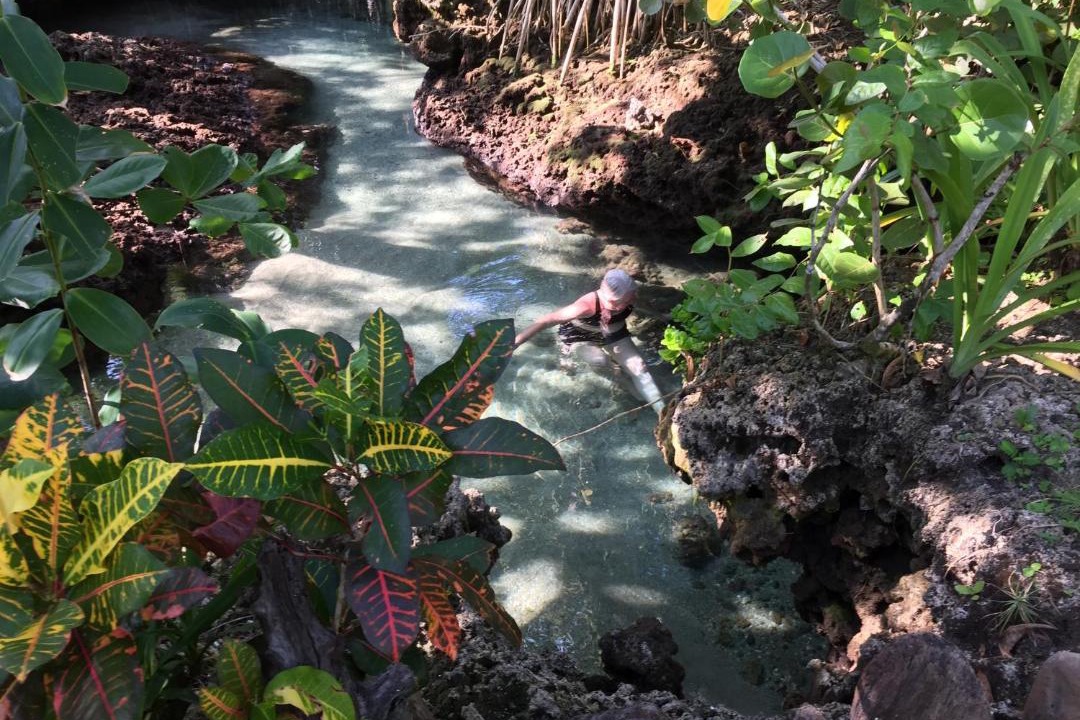 Photo of Others in Cahuita